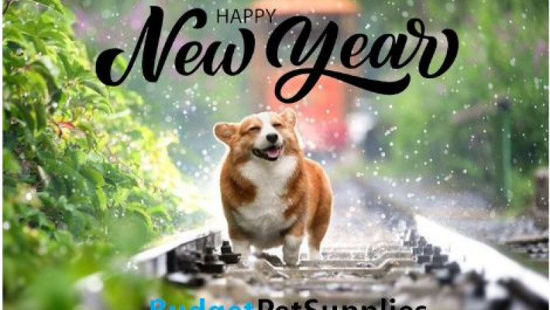 New Year, New Resolution, New Pet Supplies!