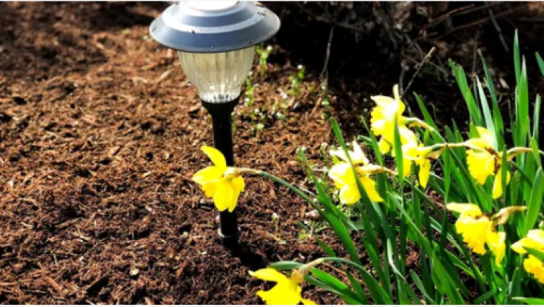 Grand Rapids Mulching|Gr Mulching