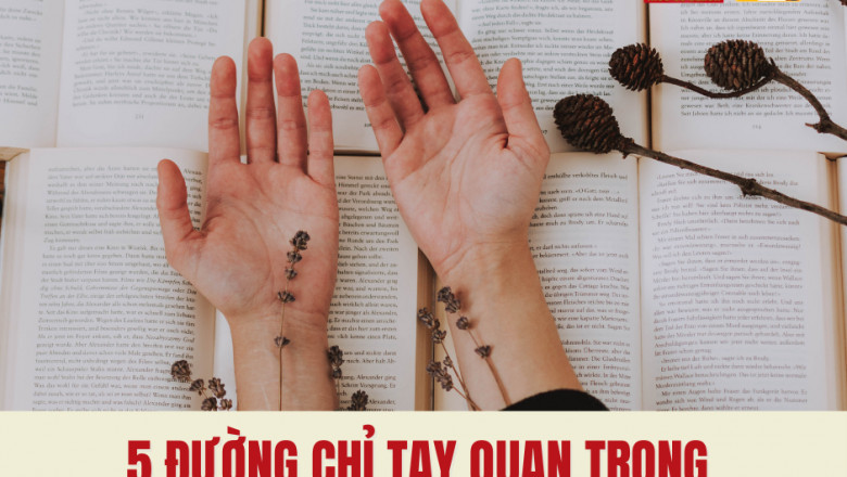 5 duong chi tay quan trong ma ai cung phai biet