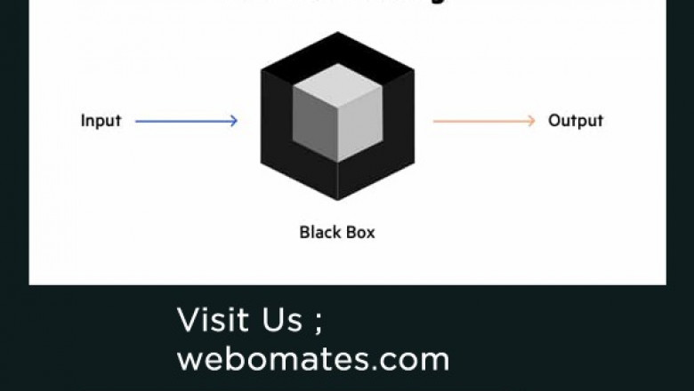 Black Box Testing