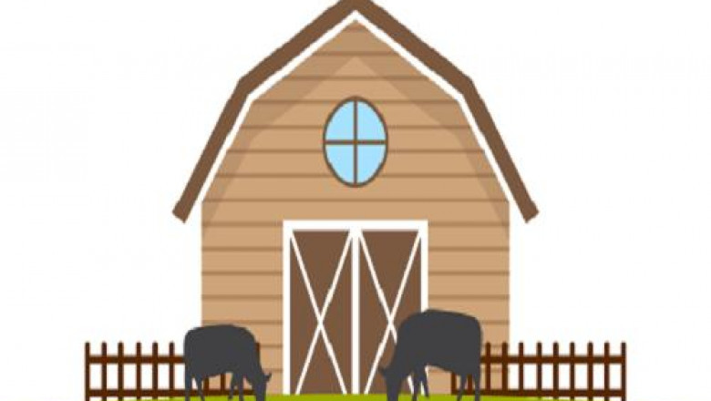 Protein Hydrolysate for Animal Feed Application Market 2027: Comprehensive Research Study