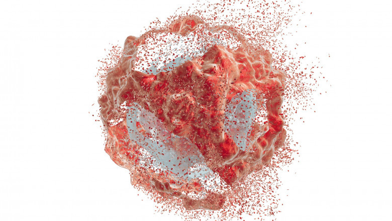 Cell Lysis Market Global Analysis, Demand, Revenue, Statistics and Trend Analysis Research Report by 2025