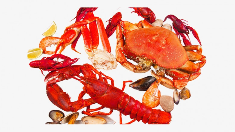 Definition of the Chitin Market on a Global Scale