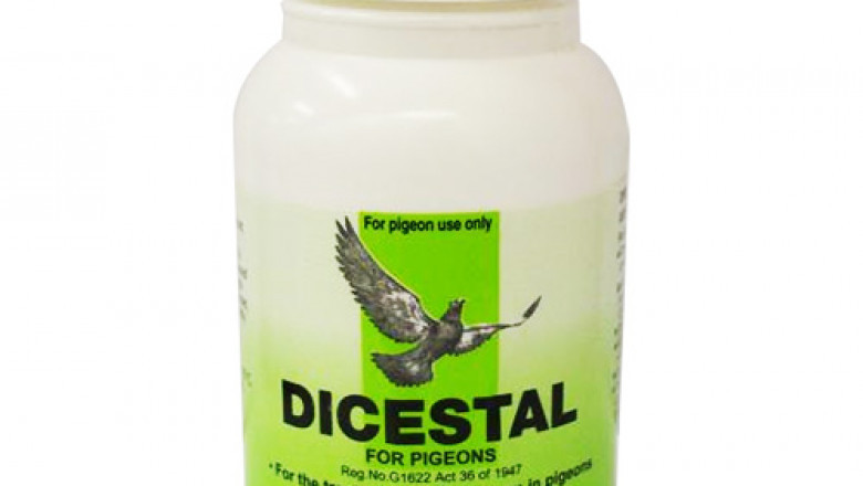 BudgetPetSupplies Offers Dicestal Pigeons Worming Medications for Birds Poultry