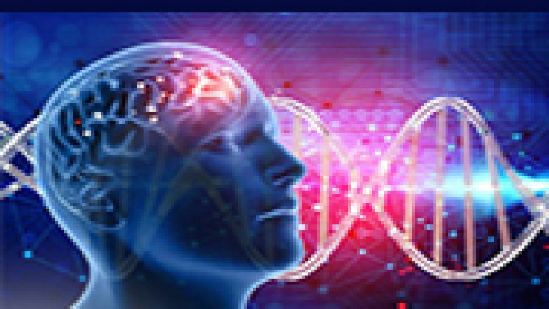 Global Artificial Neural Network Software Market Size, Status and Forecast 2021-2027