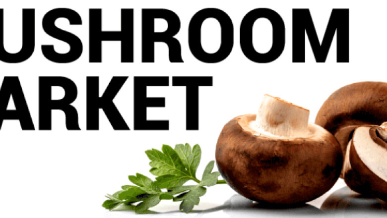 Mushroom Market Size, Future Trends, Growth Key Factors, Demand, Share, Application, Scope, and Opportunities Analysis by Outlook 2026