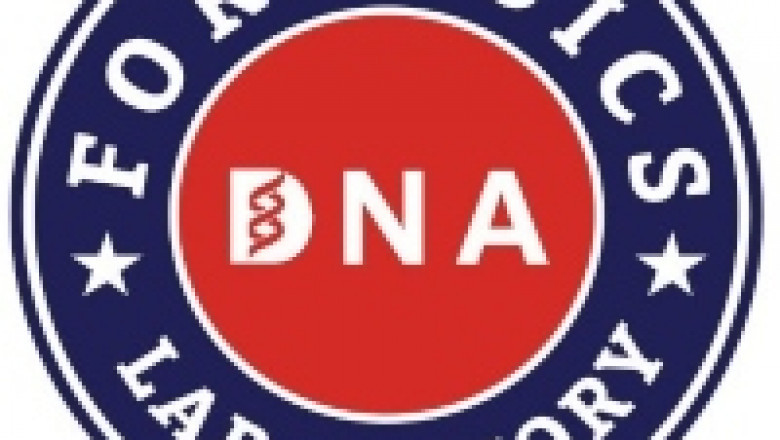 Paternity DNA Test