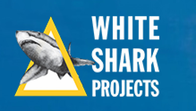 Shark Diving for disabled with white shark projects