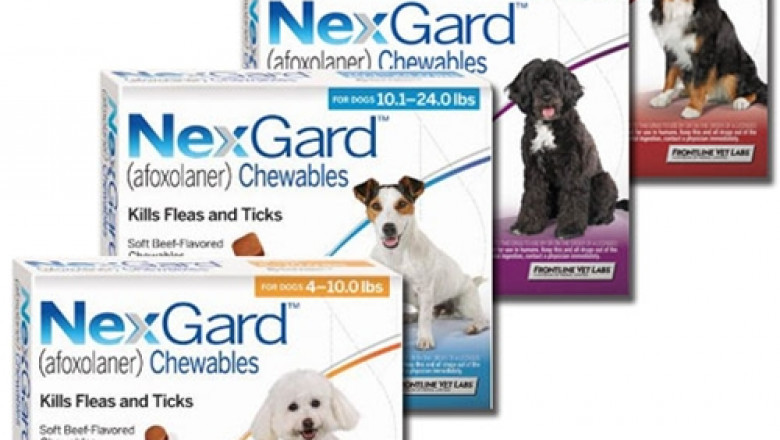 Monthly Tick & Flea Treatment for Dogs and Puppies