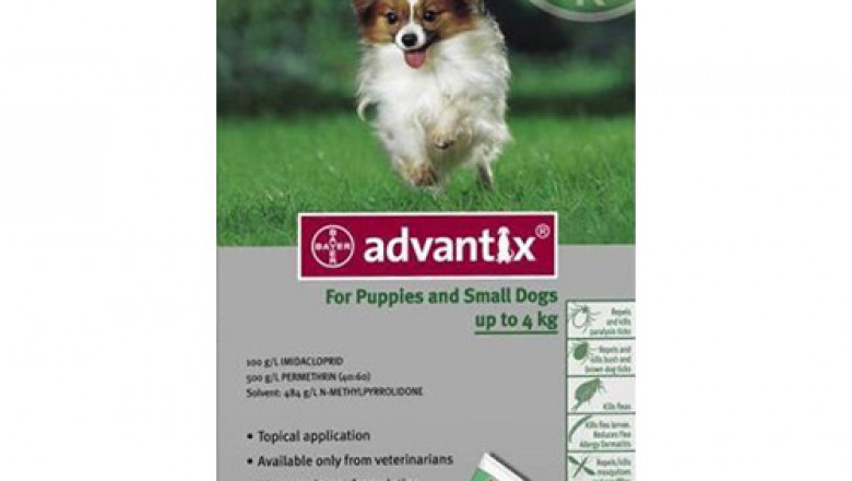 Shop Advantix for Dogs at Lowest Prices in South Africa