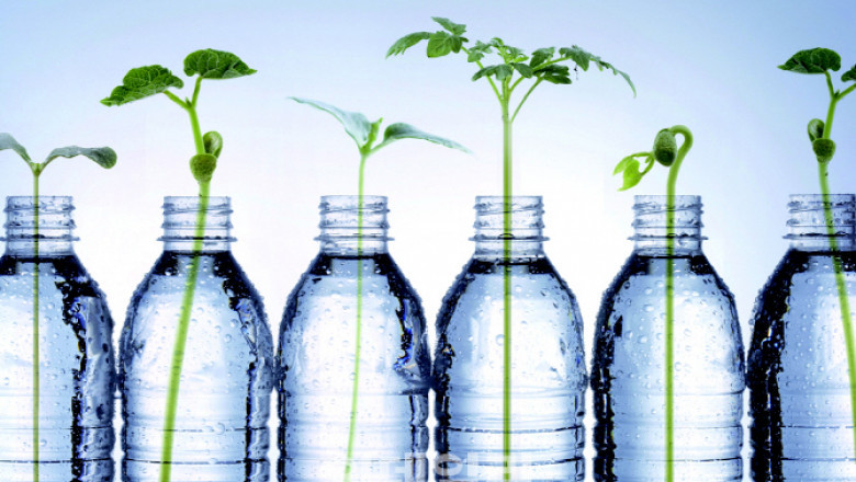 In-depth Analysis on Biodegradable Plastics Market 2021 focusing on key Players like BASF SE,Dow Inc.