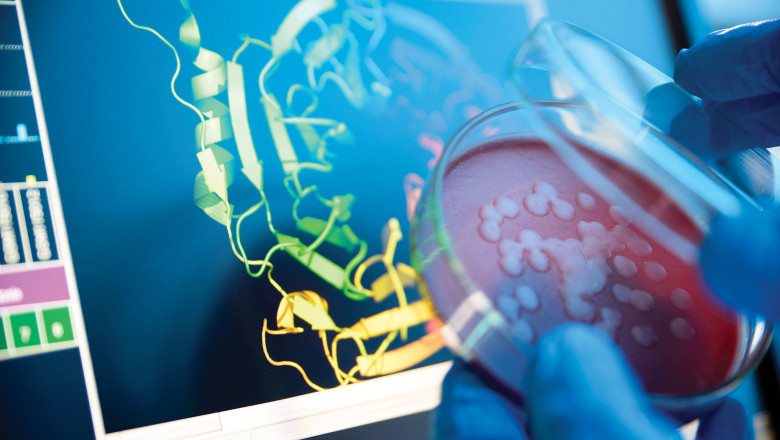 Innovative Report on Protein Characterization and Identification Market 2021 Focusing on Industry Growth and Emerging Trends with Key Vendors like Promega Corporation, Bruker Corporation