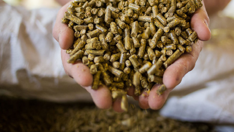 Best Report on Animal Feed Protein Ingredients Market 2021: By Top Key Players like ADM,DSM