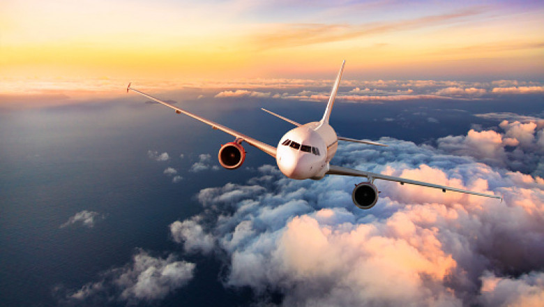 immigration consultant services