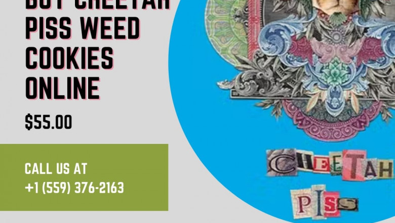 Buy Cheetah Piss Weed cookies Online