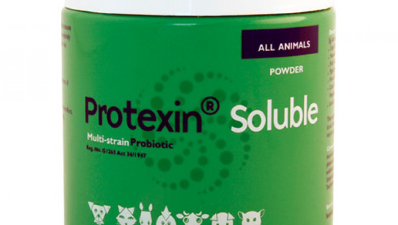 Buy Protexin Soluble Powder for Dogs & Cats