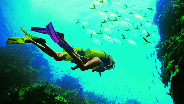 Ocean Enterprises - Scuba Diving San Diego, Call: (858)565-6054