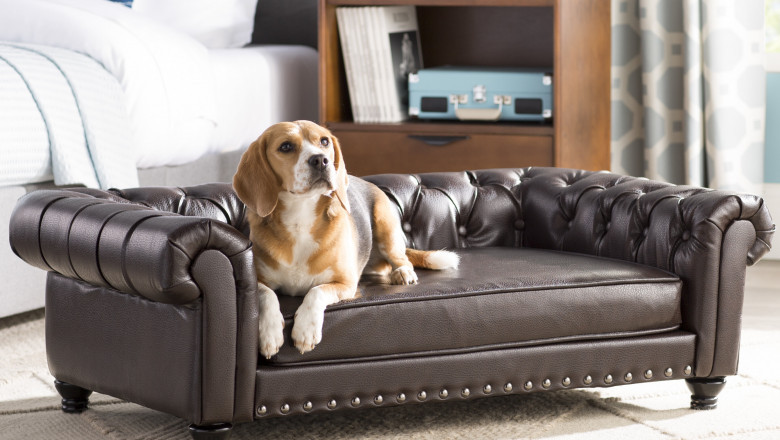 Pet Furniture Market Research Report 2021: Industry Growth, Share Size, Growth and Forecast 2026