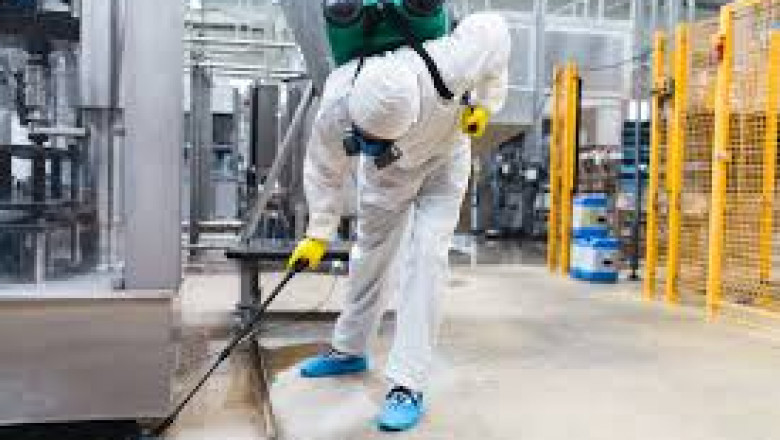 Various Sorts of Pest Control Methods