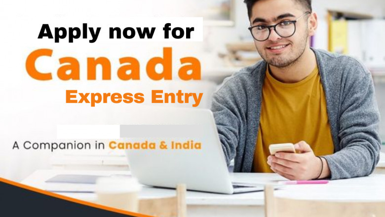 Express Entry: The case for continuing solicitations to FSWP and CEC applicants