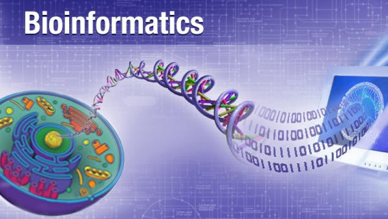 What are the benefits of bioinformatics?