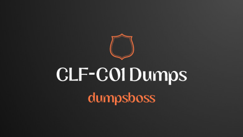 CLF-C01 Dumps furnished withinside the brand