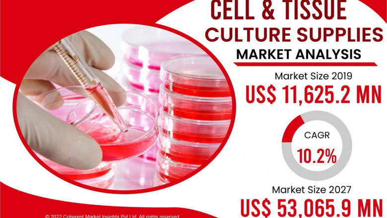 Cell and Tissue Culture Supplies Market See Incredible Growth 2022-2028 | Becton, Dickinson and Company, Merck KGaA, Corning