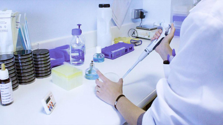 Industrial Enzymes Market Size, Share, Trends, Analysis and Research Report 2021-2026