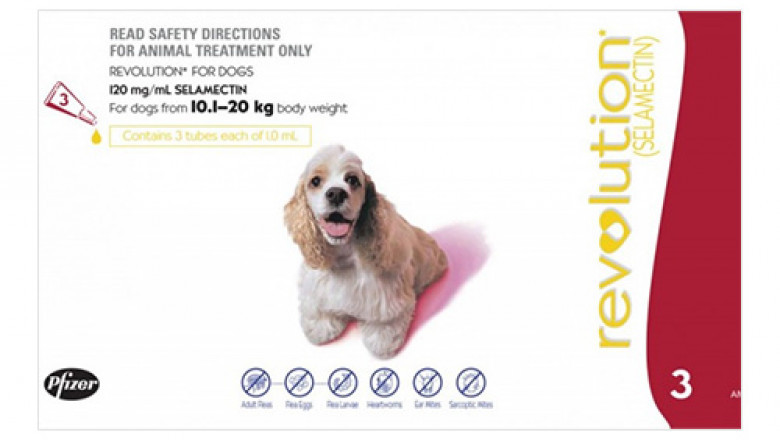 Saving with Us | 10% Off for Revolution Large Dog