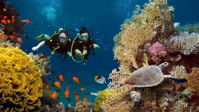 Scuba Diving Mallorca Is a Dream Come True
