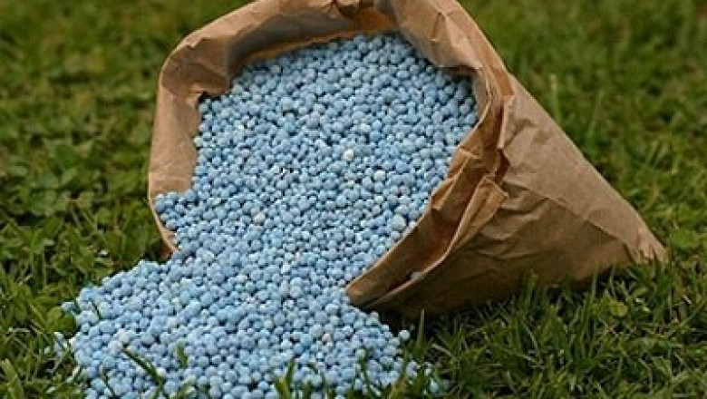 Sulphur Fertilizers Market Size, Share, Growth | Global Industry Analysis and Forecast 2030 | ChemAnalyst