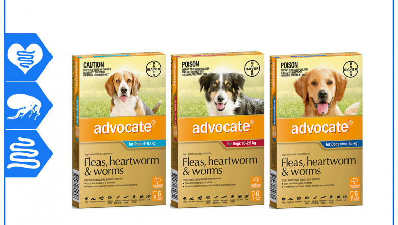 ADVOCATE for Dogs 6 Pipettes Flea Heartworm and Worm Prevention