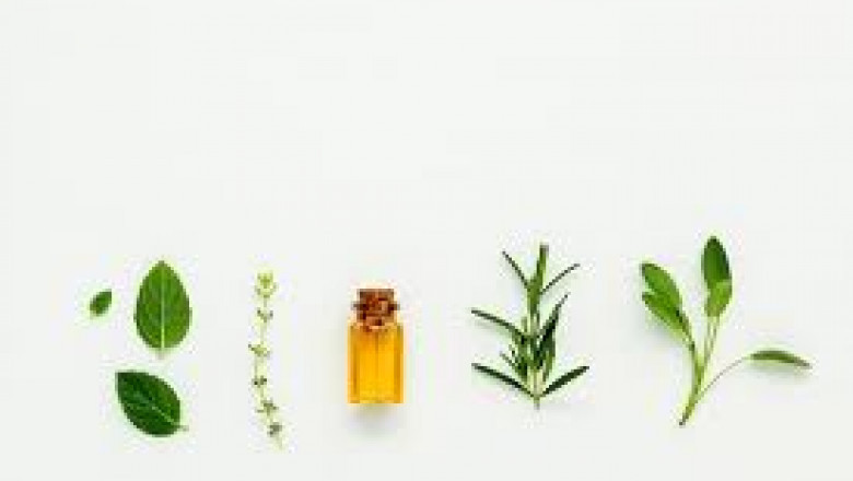 Global Phytogenic Feed Additive Market analysis, size, Report - 2022 to 2028|Cargill Incorporated (US), Dupont De Nemours, Bentoli (US)