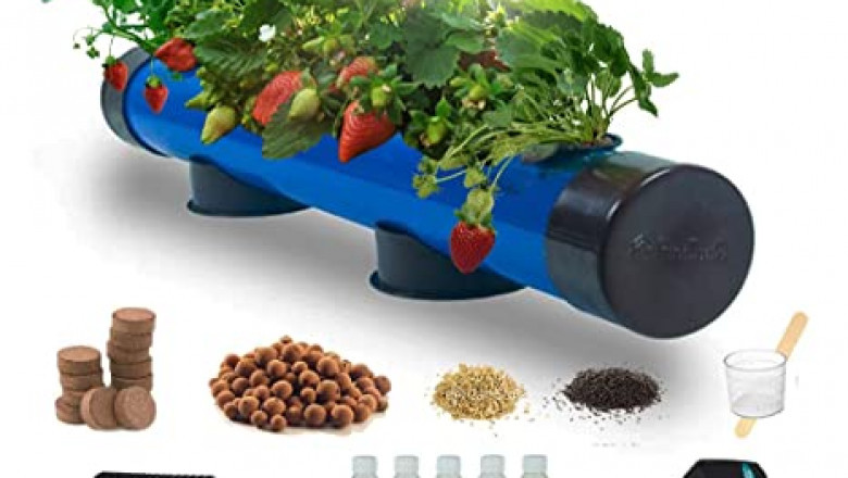 Hydroponics Market Insights, Size, Share, Opportunity Analysis, and Industry Forecast till 2025