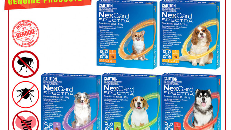 NEXGARD SPECTRA 3 Chews for Dogs Flea and Worm Prevention