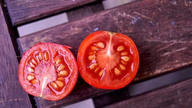 Tomato Seeds Market Revenue Growth, Demand Forecast and Trends Analysis By 2028