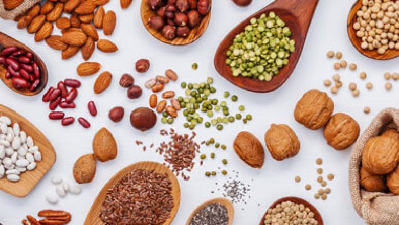 Global Organic Seeds Market Report 2022: Investment Analysis and Growth Opportunities 2022-2028