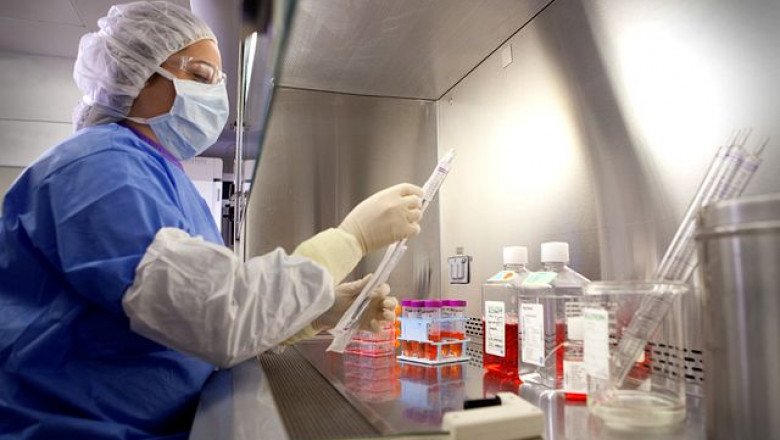 Mycoplasma Testing Market - Global Industry Analysis by Size, Share and Forecast 2022 – 2027