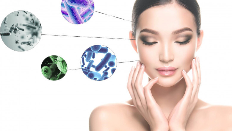 Skin Microbiome Modulators Market Research Report and Forecast to 2027 | Research Informatic