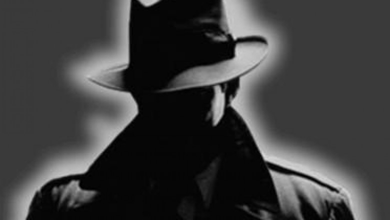 How To Find An Efficient and Professional Detective?