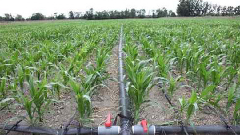 Payal Valve - PP Ball Valve, Solid Ball Valve, Agricultural Valve Manufacturers