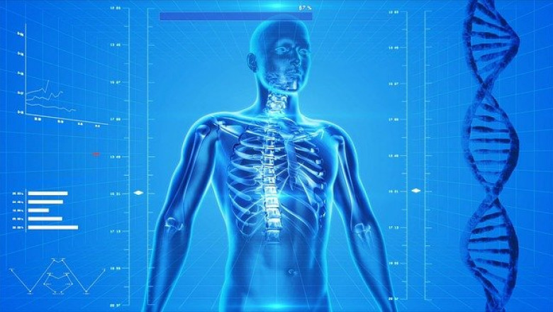 Medical Imaging Displays Market Trends by Type, Share, Application and Forecast Till 2027