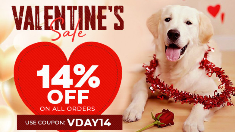 Pet Supplies Up to 14% Off in South Africa