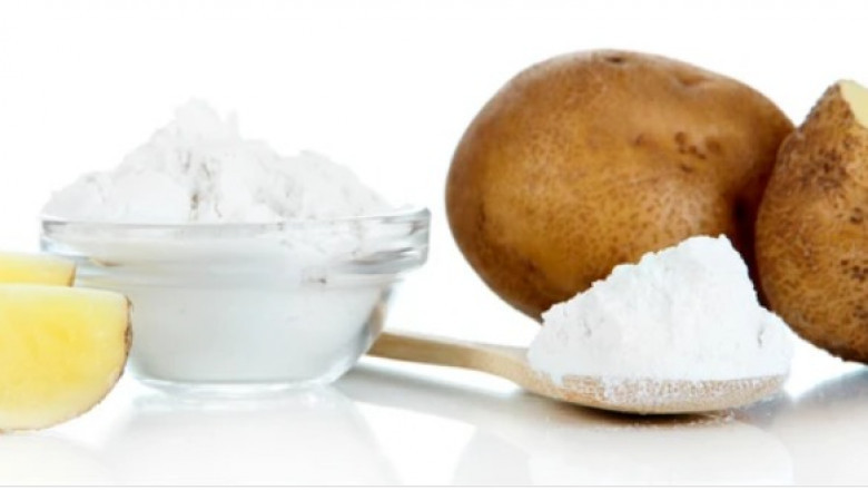 Starch Recovery Systems Market Size And Key Trends In Terms Of Volume And Value 2026