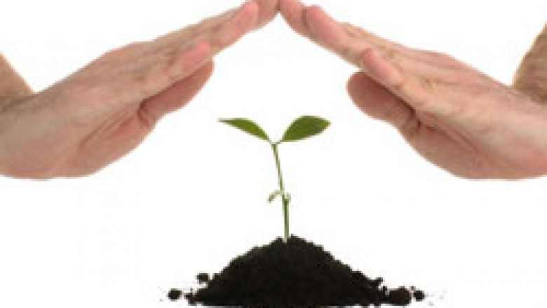 Crop Insurance Market Size Analysis by Competitive landscape and Insights for next 5 years