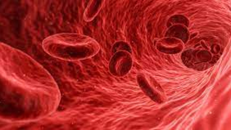 Host Cell Contaminant Testing Market - Global Industry Growth and Forecast – 2027