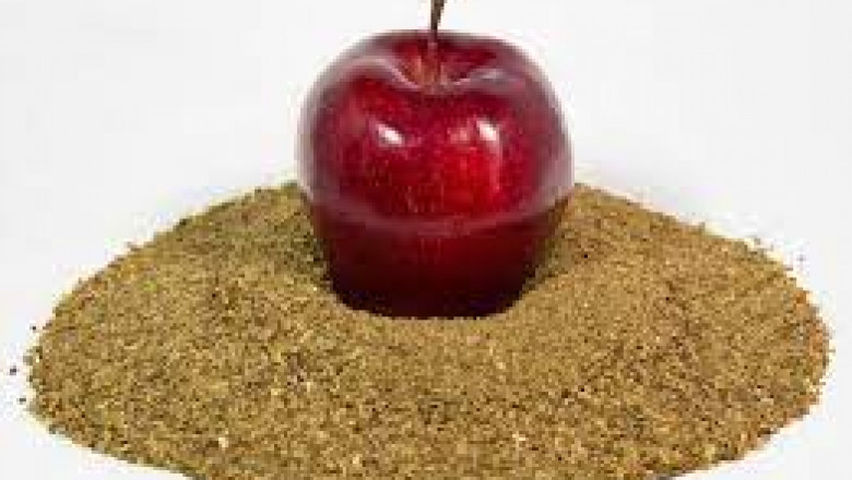 Apple Fiber Market Global Industry Insights, Trends, Outlook and Opportunity Analysis 2018-2026
