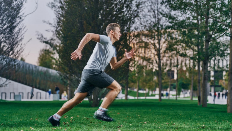 5 Tips to Find the Best Personal Trainer for You