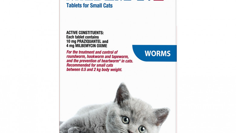 Cat Supplies | Discount Cat Foods, Products & Accessories Online