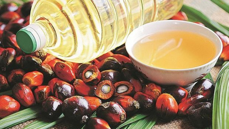 Indonesia Edible Oil Market 2021: Share, Size, Analysis, Growth, Scope and Forecast 2026